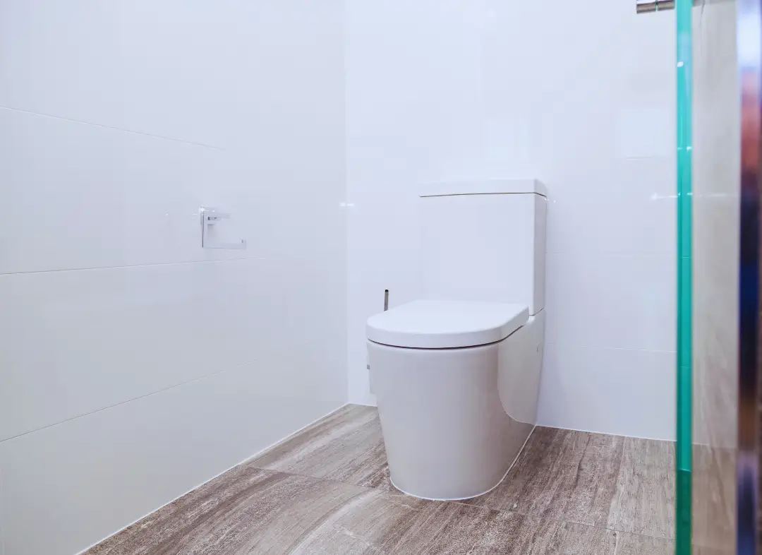 Remplacement de wc Rochecorbon