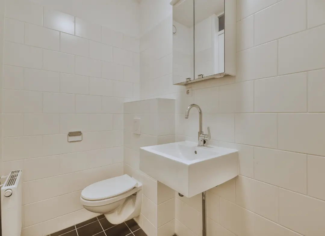 Pose WC Suspendu Rochecorbon